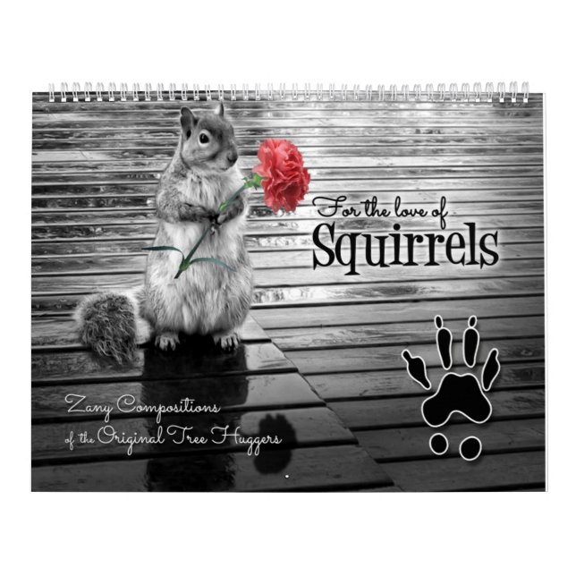 Calendrier Zany Squirrel Lover Faune 12 mois (Protection)