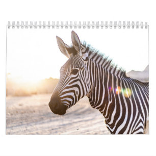 Calendrier Zèbre