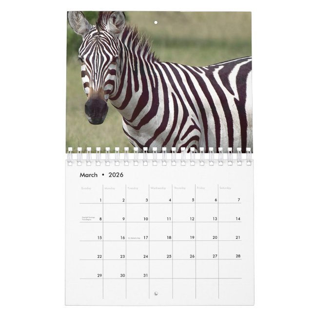 Calendrier Zèbre (Mar 2026)