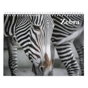 Calendrier Zèbre 2025