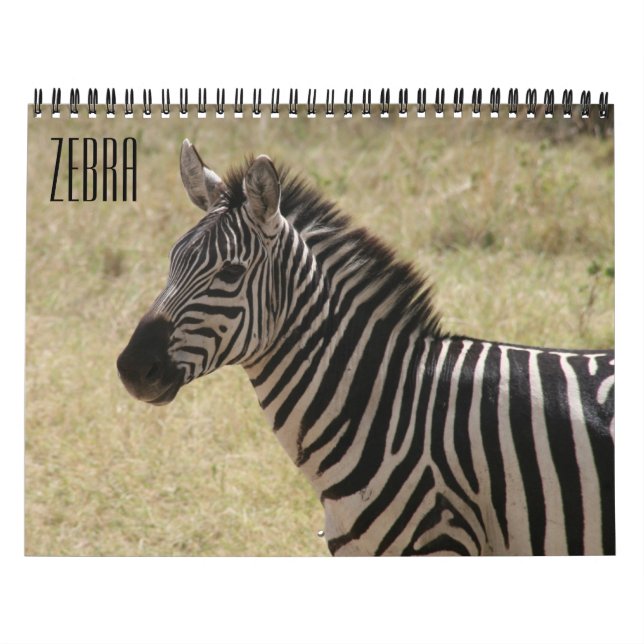 Calendrier zèbre 2025 (Protection)
