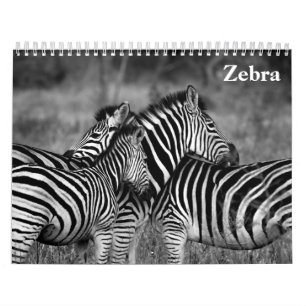 Calendrier zèbre 2027