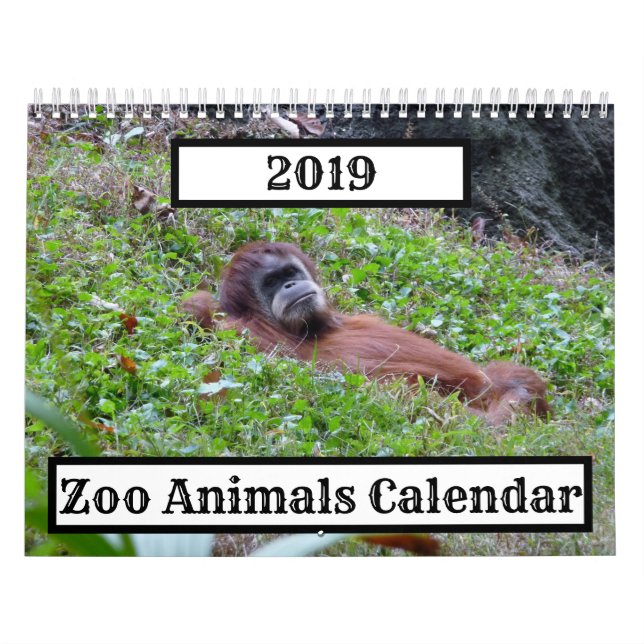 Calendrier Zoo Animaux 2019 (Protection)