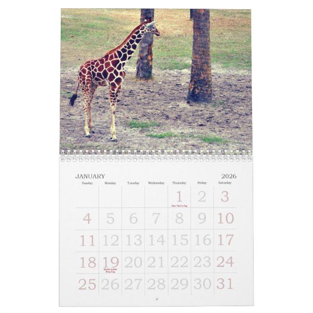 Calendrier Zoo et jardins de Jacksonville (Jan 2026)
