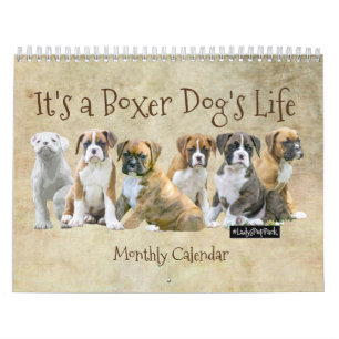 Calendriers de chien - chiots mignons de boxeur