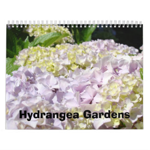 Calendriers Photographie Rose Bleu Hortensia Jardi