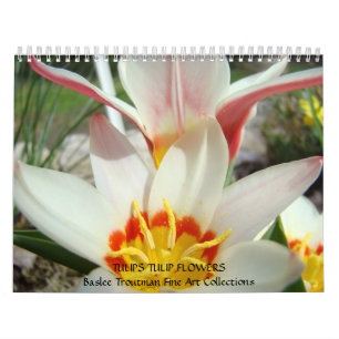 CALENDRIERS TULIPES Calendriers Tulipe Fleurs