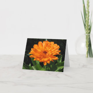 Calendula-Blumen-Grußkarte Karte
