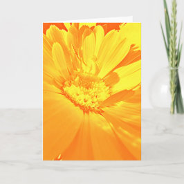 Calendula - dankeskarte