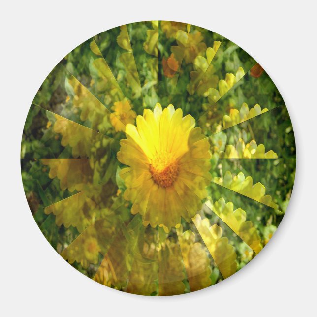 Calendula Liebe...... Magnet (Vorne)