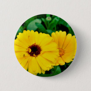Calendula Officinalis Abzeichen Button