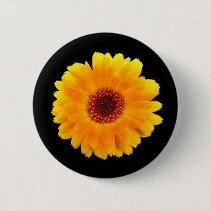 Calendula Officinalis Abzeichen Button