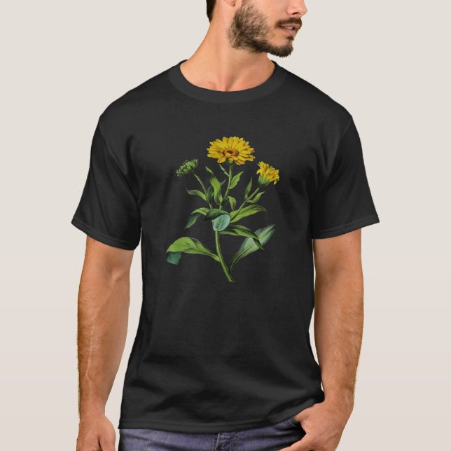 Calendula officinalis Botanical Vector Cut Out T-Shirt (Vorderseite)