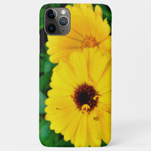Calendula Officinalis Case-Mate iPhone Hülle