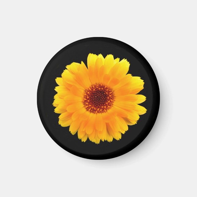 Calendula Officinalis Magnet (Vorne)