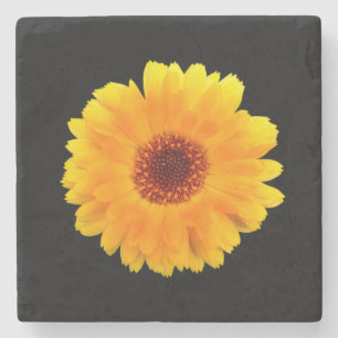 Calendula Officinalis Steinuntersetzer