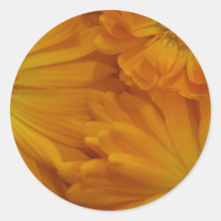 Calendula Runder Aufkleber