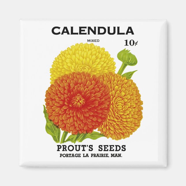 Calendula Vintage Saatpackung Magnet (Vorne)