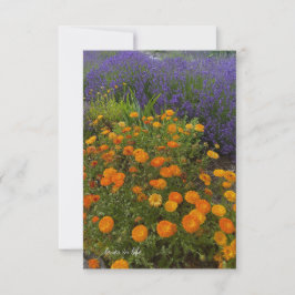 Calendulas & Lavender Mitteilungskarte