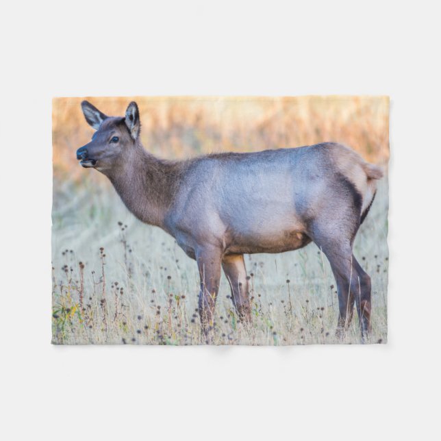 Calf Elk | Madison Junction, Wyoming Fleecedecke (Vorderseite (Horizontal))