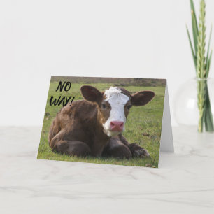 CALF KANN NICHT GLAUBEN, DASS SIE ***40*** GEBURT  KARTE