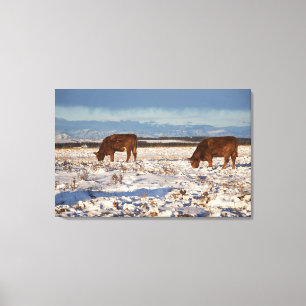 Calgary, Alberta, Kanada 2 Leinwanddruck