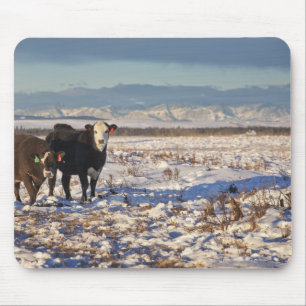 Calgary, Alberta, Kanada Mousepad