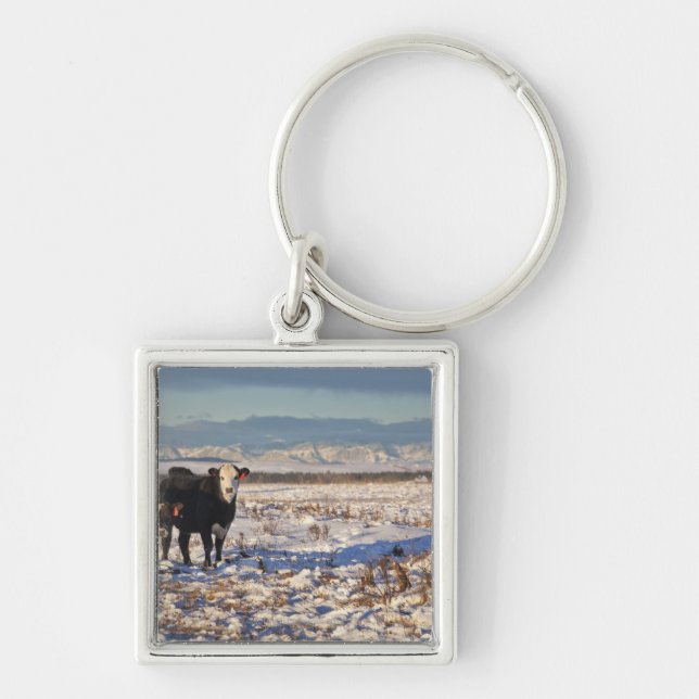 Calgary, Alberta, Kanada Schlüsselanhänger (Vorne)