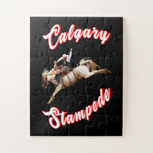 Calgary Canada Hourse July Riders Calgary Stampede