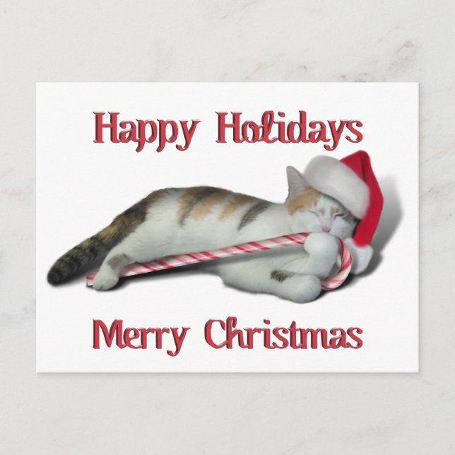 Cali, die Candy Cane Kitty Postkarte (Vorderseite)