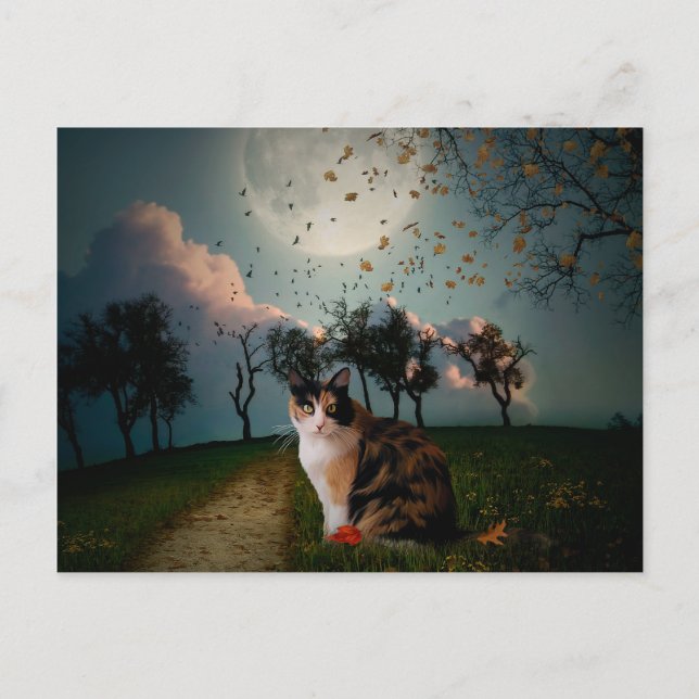 Cali Moon Postkarte (Vorderseite)