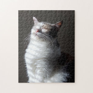Calico