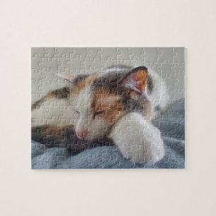 Calico