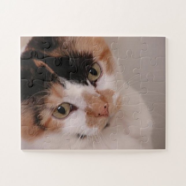 Calico Beauty Cat (Horizontal)