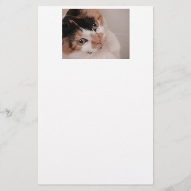 Calico Beauty Cat Briefpapier (Vorderseite)