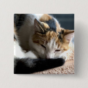 Calico Button