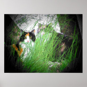 Calico Camouflage Cats Poster