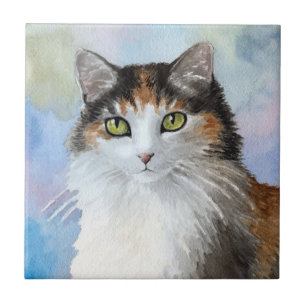 Calico Cat 572 Blau Große Geschenkboxen Fliese