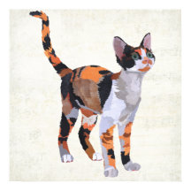 CALICO CAT Art