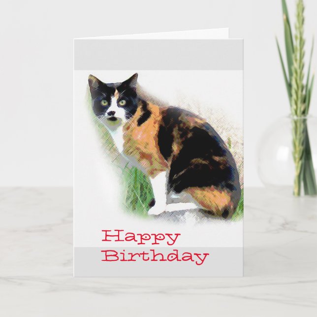 Calico cat Birthday Karte (Vorderseite)