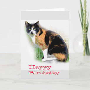 Calico cat Birthday Karte