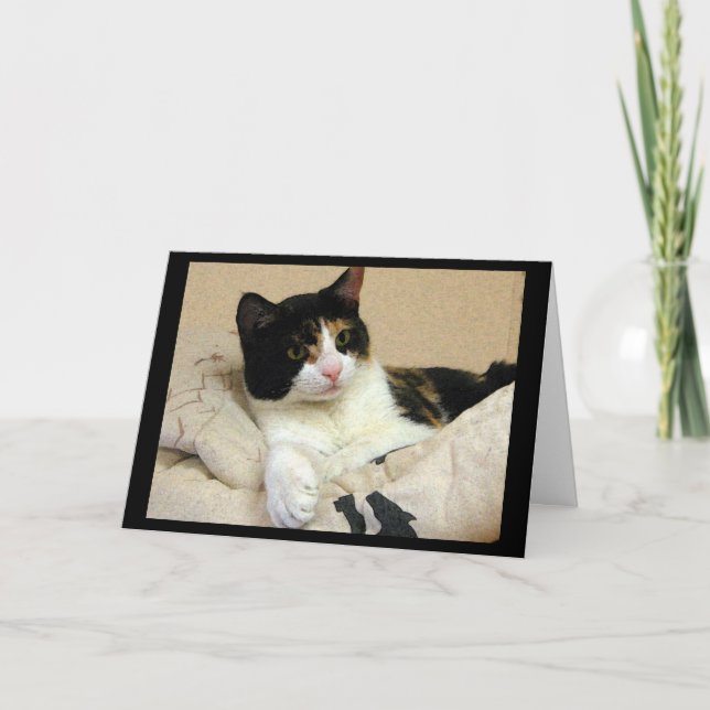 Calico Cat Birthday Wish Karte (Vorderseite)