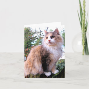 Calico Cat Custom Denken Sie an Sie Karte
