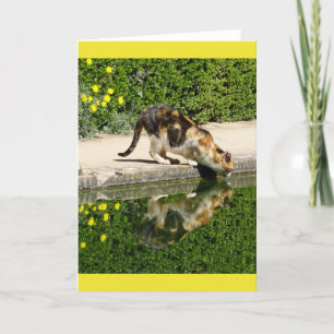 Calico Cat Drink Water Card Karte