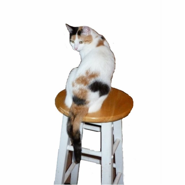 Calico Cat Fotoskulptur Ornament (Vorne)