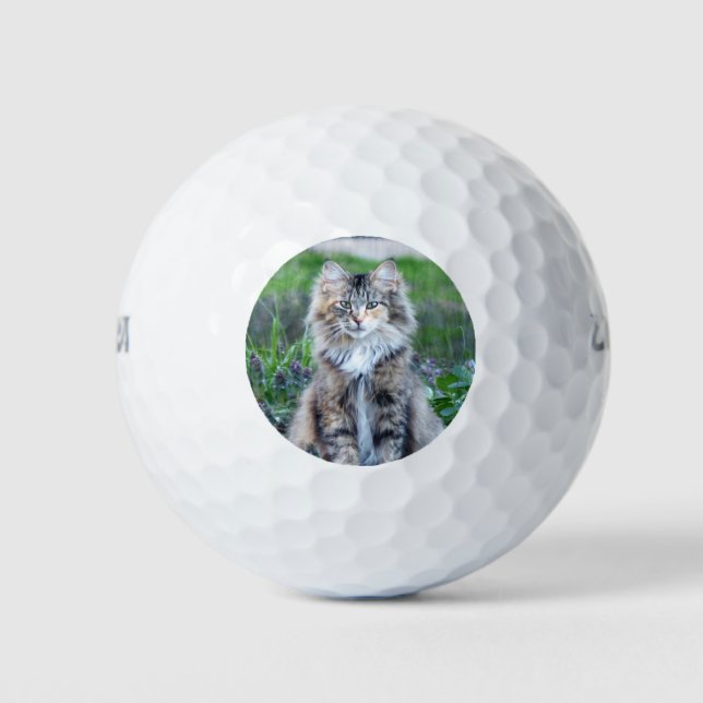 Calico Cat Golfball (Vorderseite)