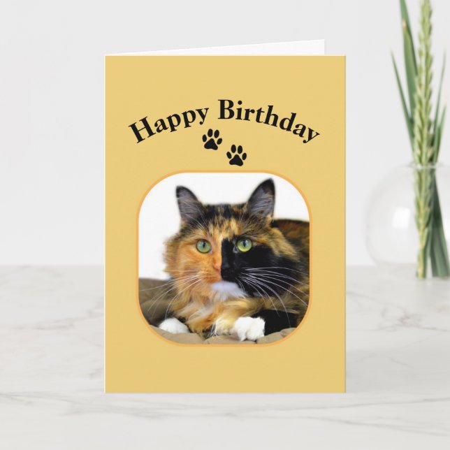 Calico Cat Happy Birthday Karte (Vorderseite)