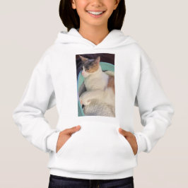 Calico Cat in Cat Bed Hoodie