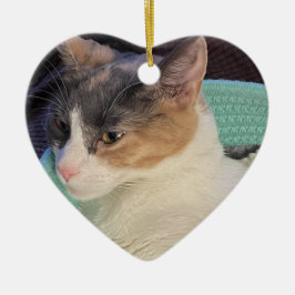 Calico Cat in Cat Bed Keramik Ornament