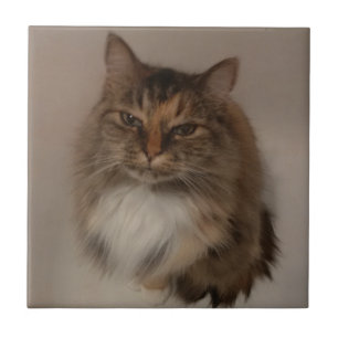 Calico Cat Keramik Tile Fliese